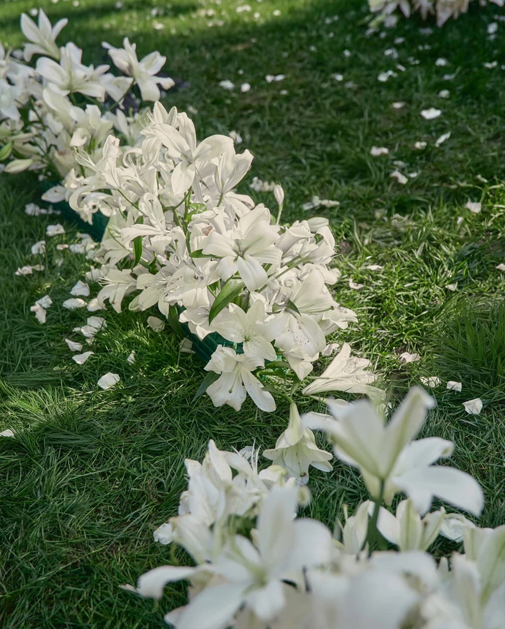 Close-up of white lilies arranged along a grassy aisle, with scattered petals creating a soft, romantic wedding setting