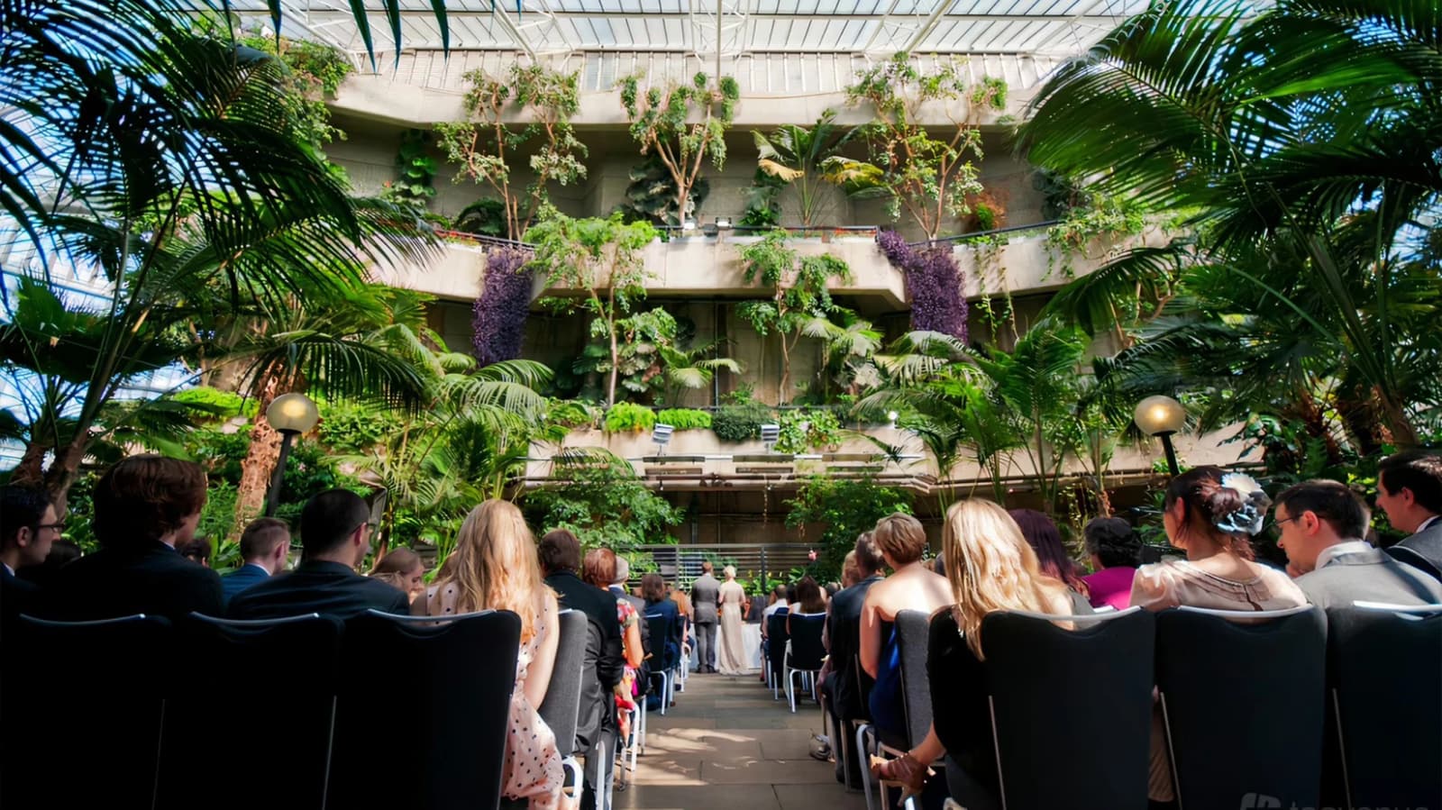 Wedding ceremony at the Barbican Conservatory London with lush tropical plants and guests seated in a unique indoor garden venue