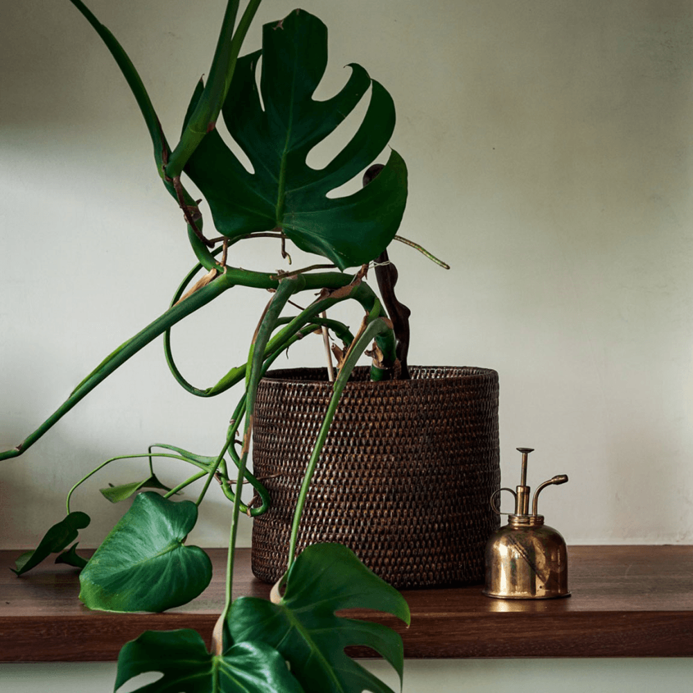 Rangoon Rattan Planter, Brown