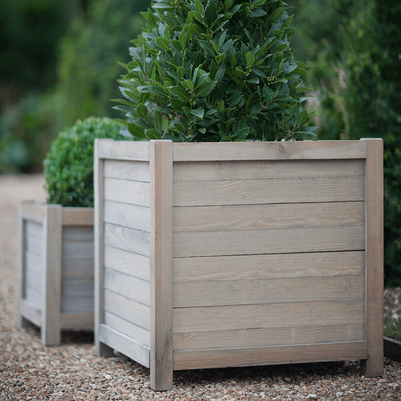 Square Planter, Spruce