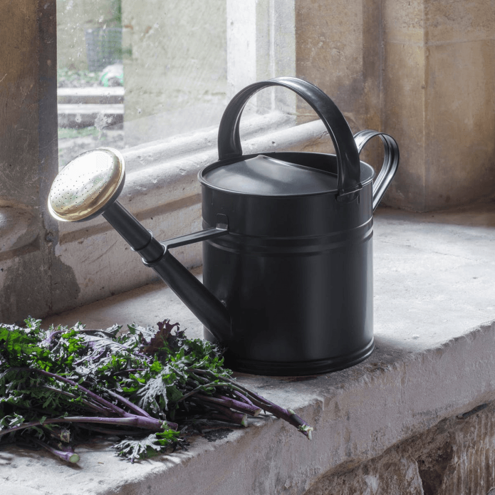 Watering Can