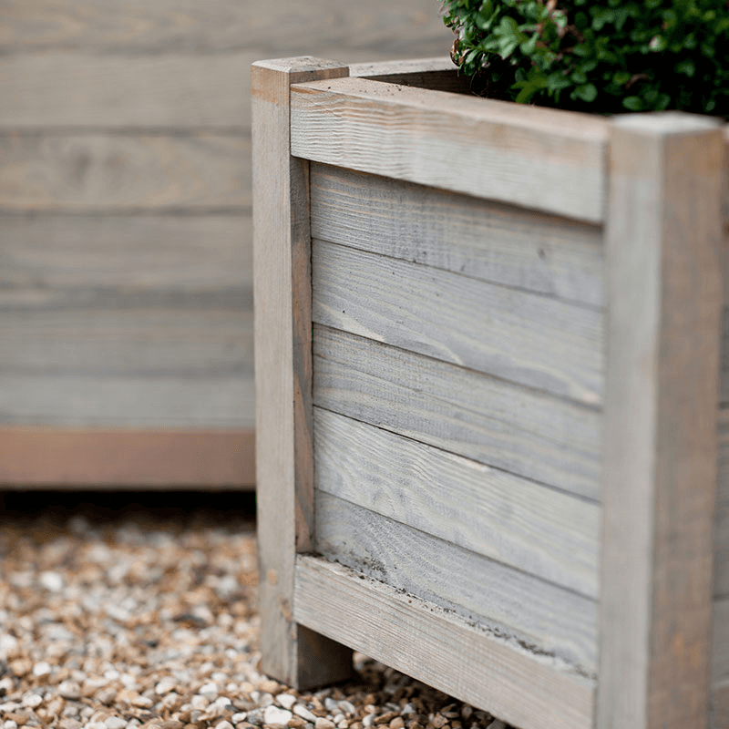 Square Planter, Spruce