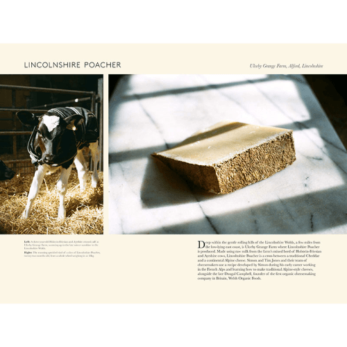 Image showing the Angus D. Birditt Portrait Of British Cheese product.
