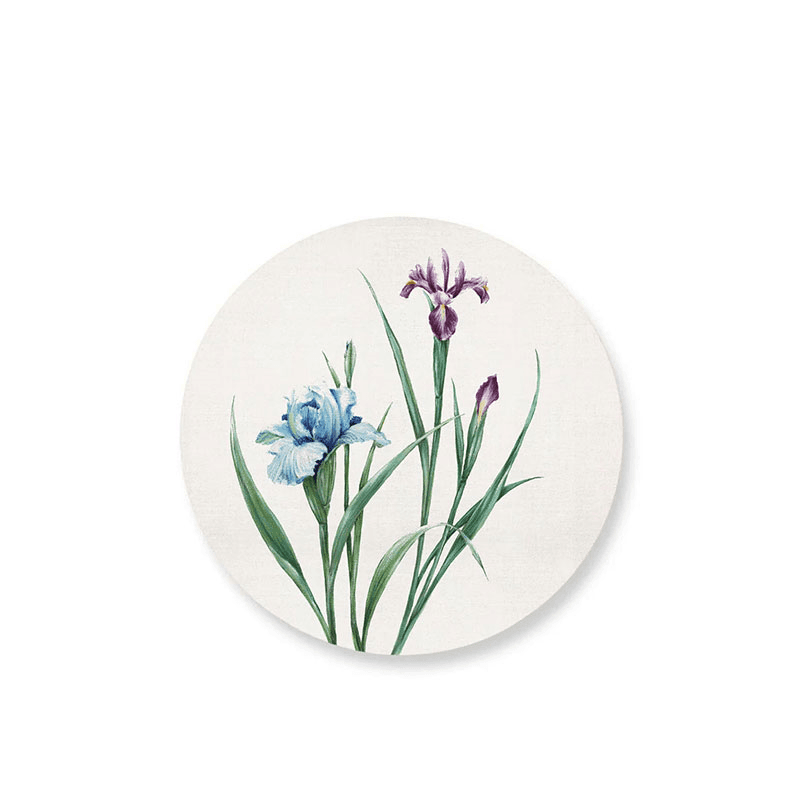 Iris Set of 4 Round Placemats, Multi
