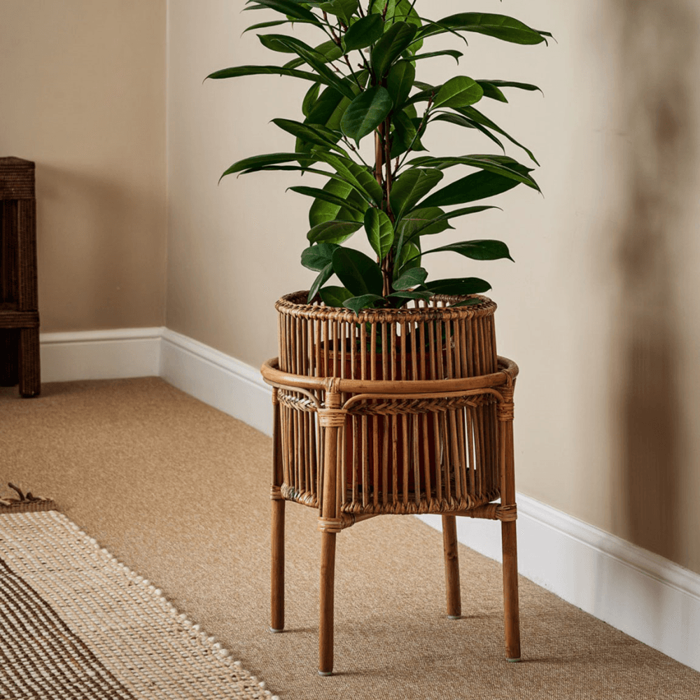 Tedim Planter Stand, Natural