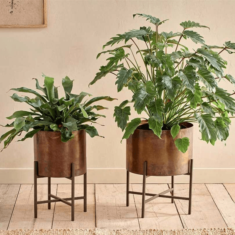 Juoni Iron Planter