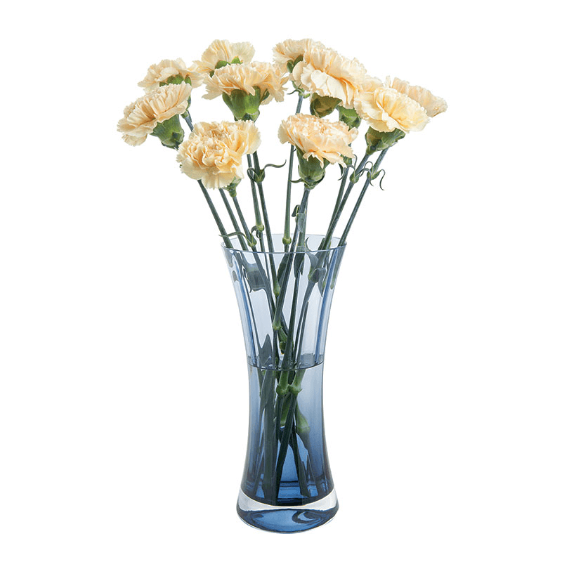 Florabundance Carnation Vase, H26cm, Ink