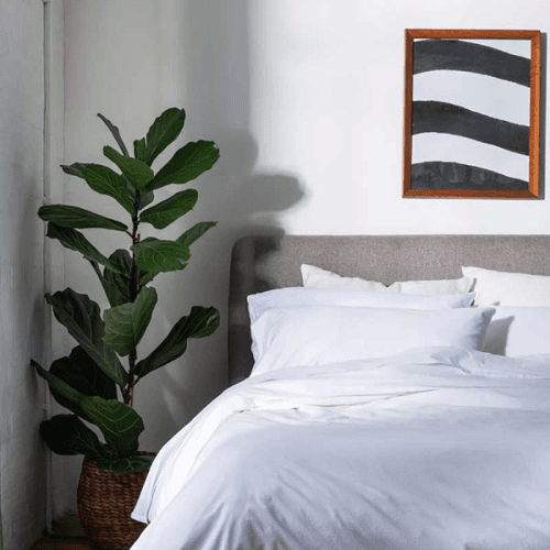 Image showing the Washed Cotton Percale Super King Fitted Sheet, White product.