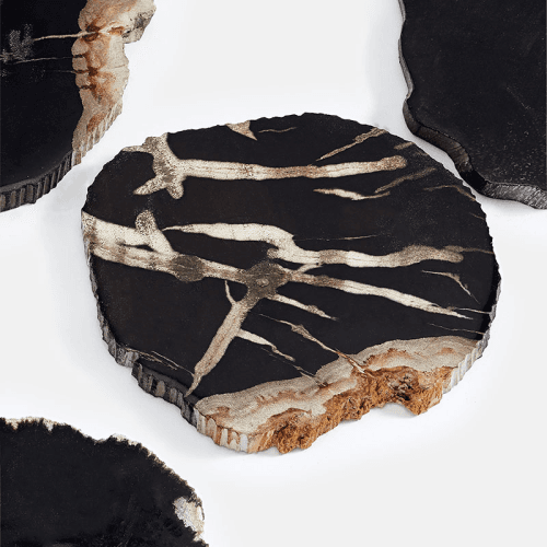 Image showing the Balfern Set of 4 Petrified Wood Coasters, D12cm, Black product.