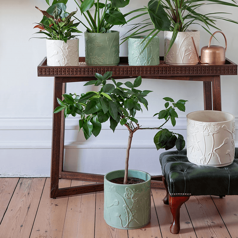 Kew Botanical Retreat Stoneware Meadow Planter, D21cm, Cream