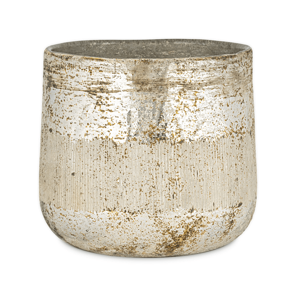 Juniper & Fir 3 Wick Scented Candle, Antique Gold