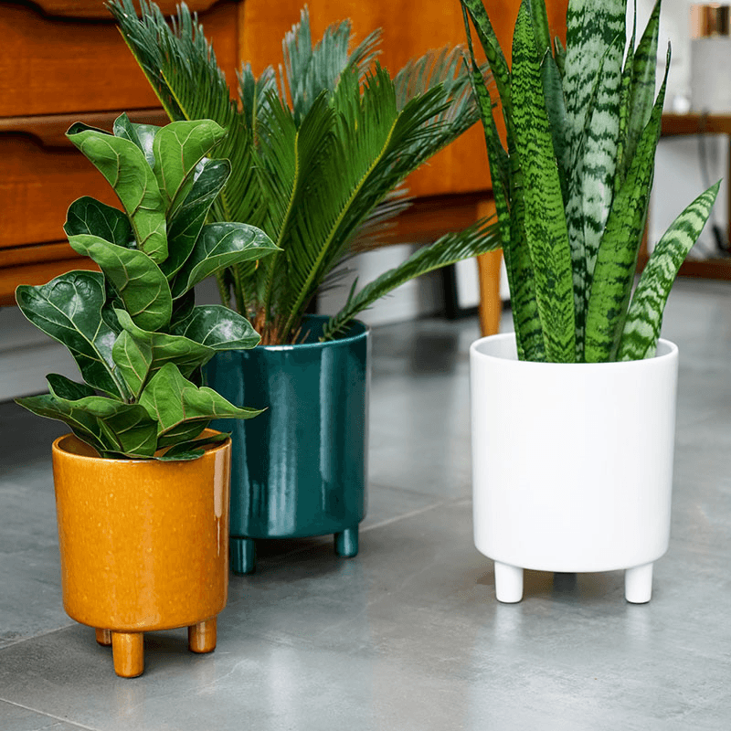 Pisa Planter