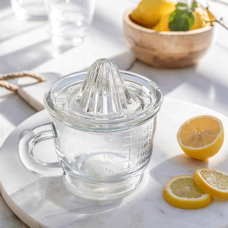 Glass Juicer and Jug
