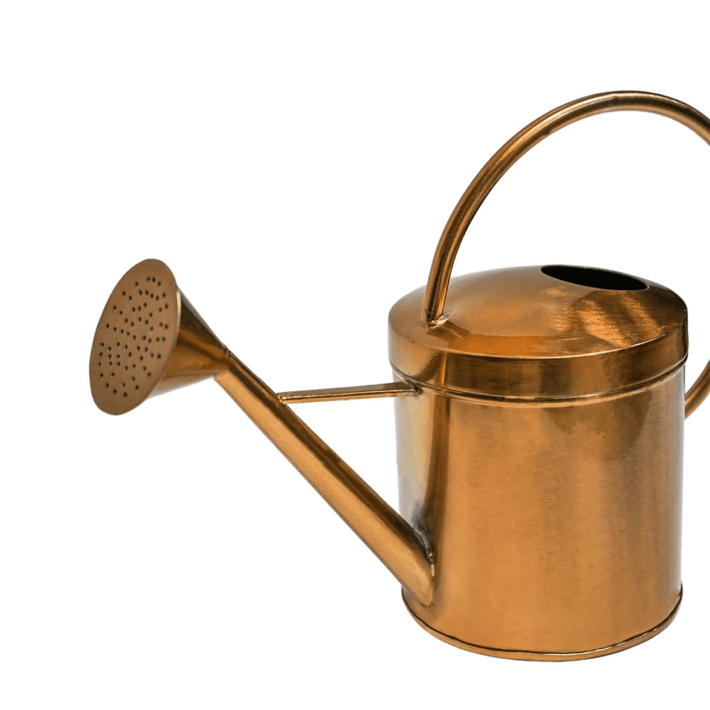 Kensington Indoor Traditional Watering Can, Copper