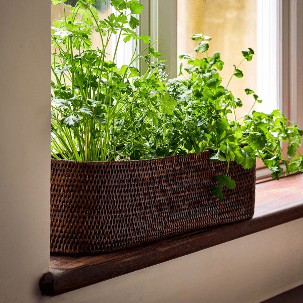 Kethi Rattan Oval Planter