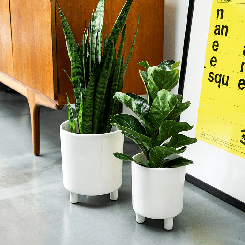 Pisa Planter, H16 x W19 x D19cm, White