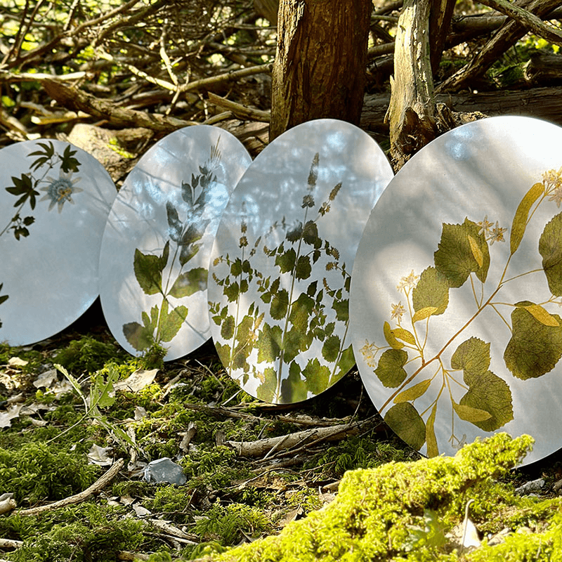Herbarium Set of 6 Round Placemats, Green