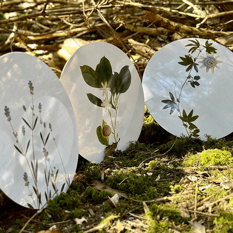Herbarium Set of 6 Round Placemats, Green