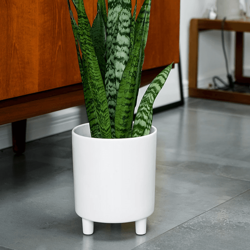 Pisa Planter