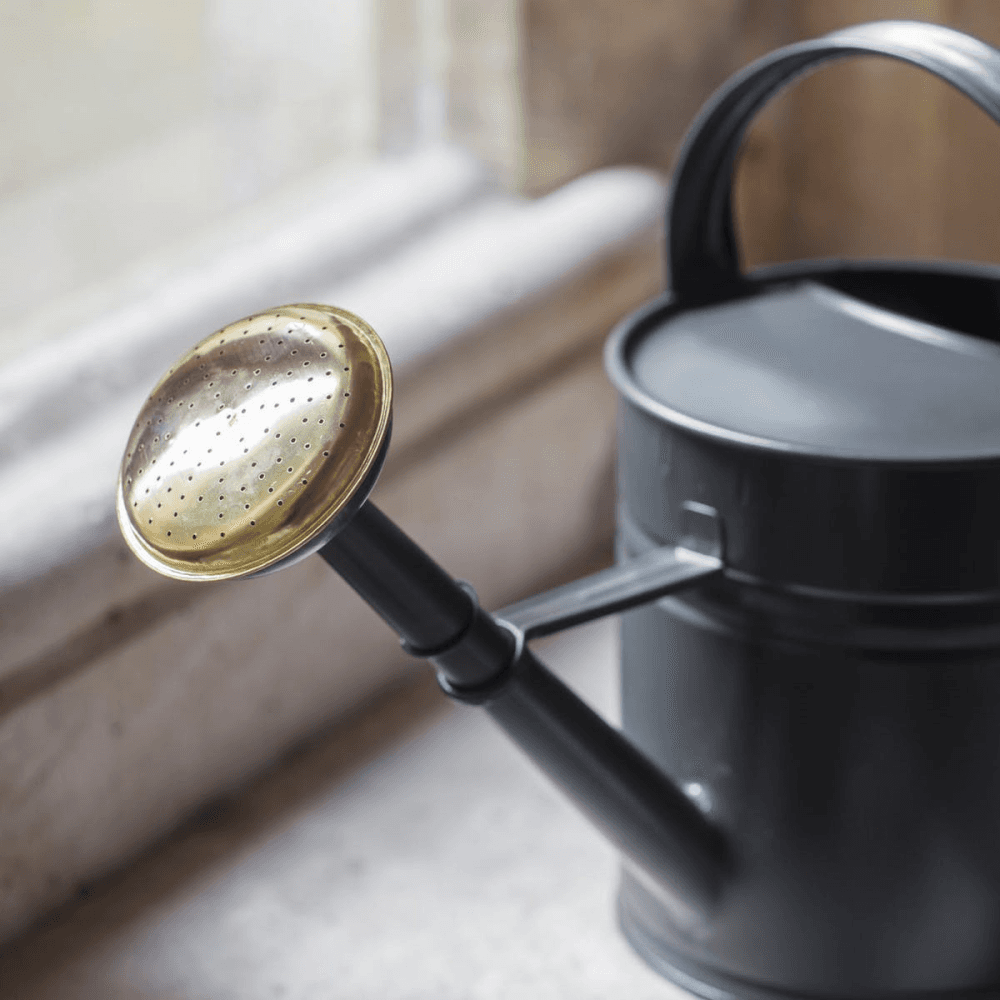 Watering Can