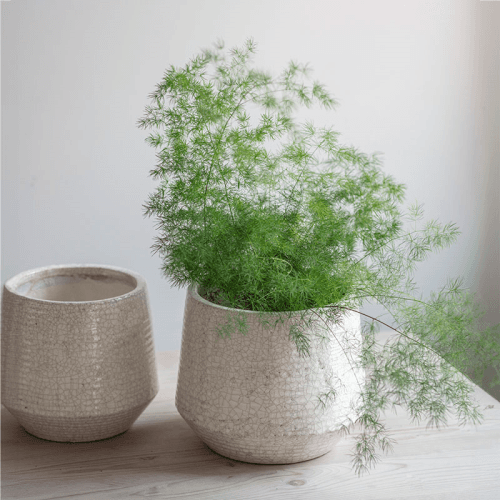 Image showing the Ravello Ridged Pot, White product.