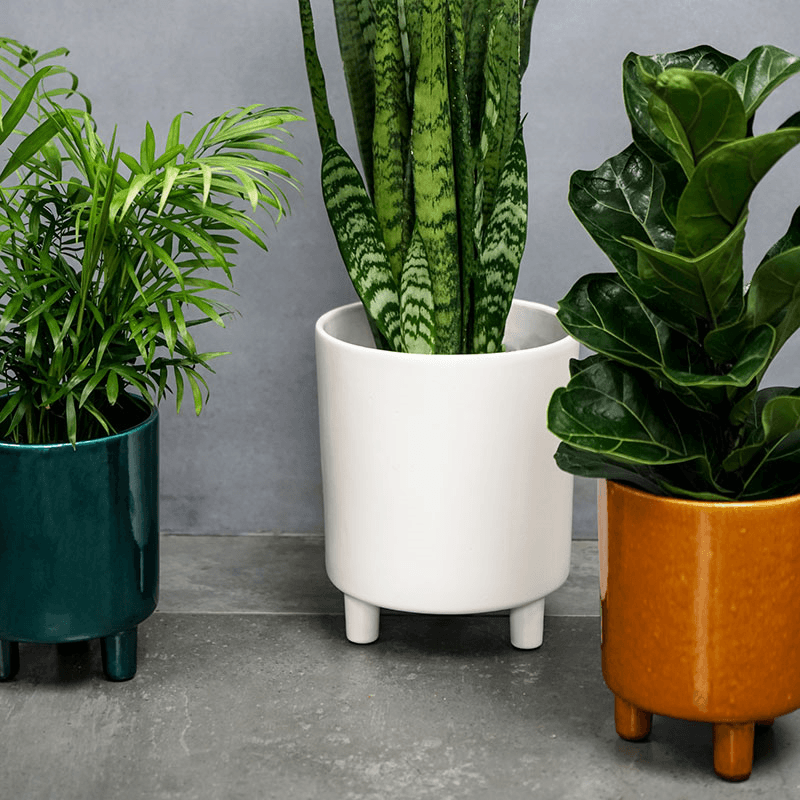 Pisa Planter