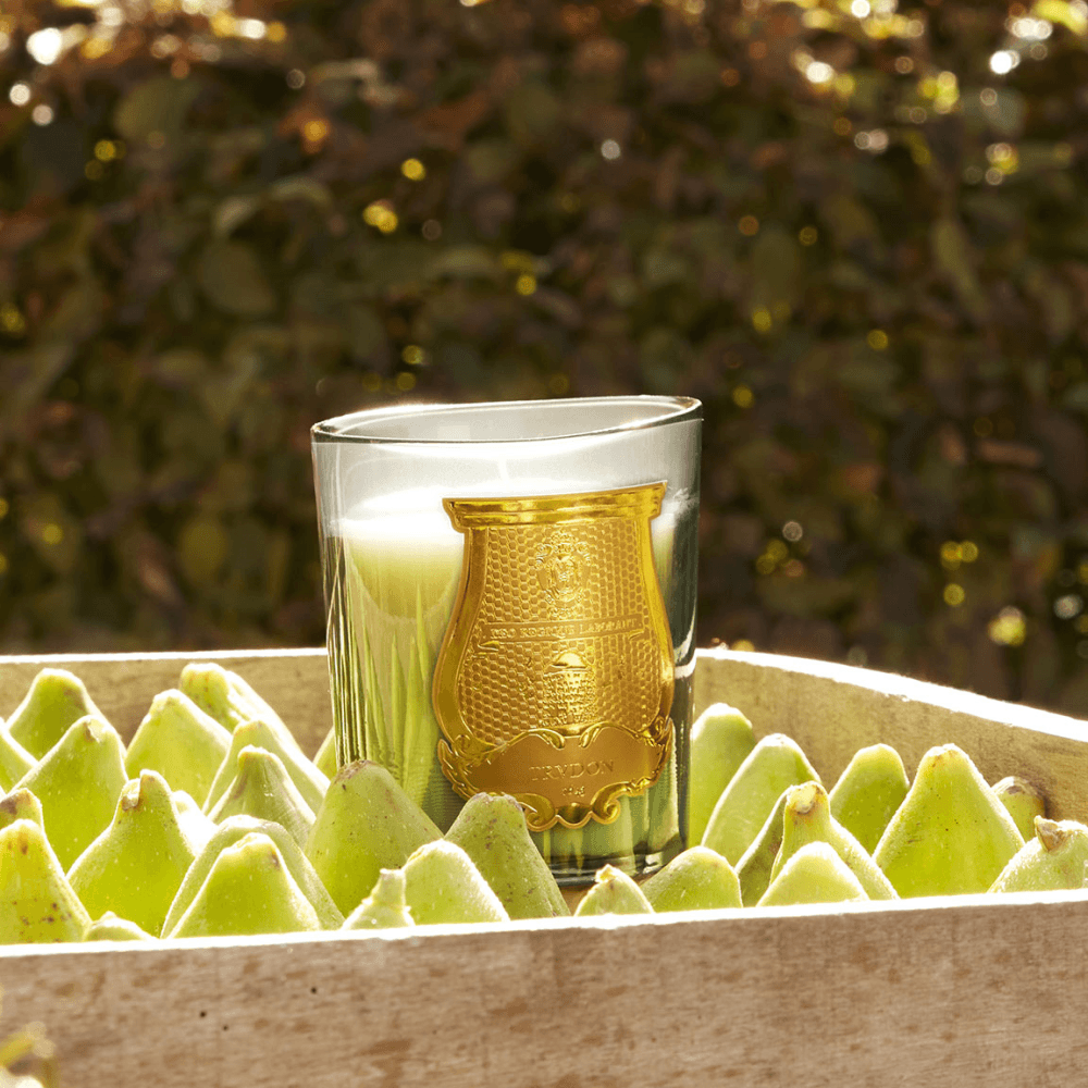 Figuerie Scented Candle