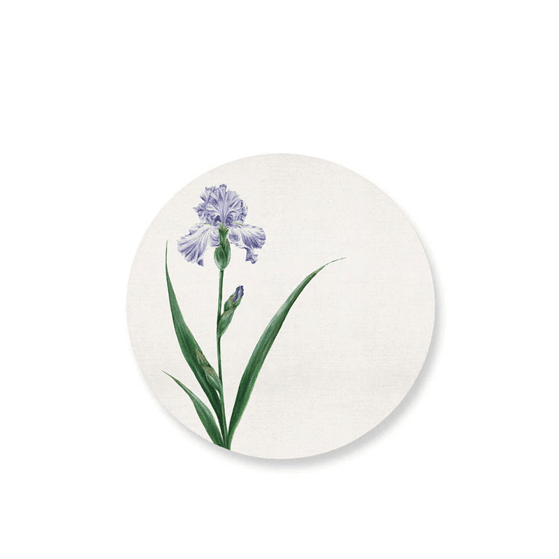 Iris Set of 4 Round Placemats, Multi