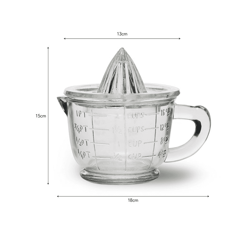 Glass Juicer and Jug
