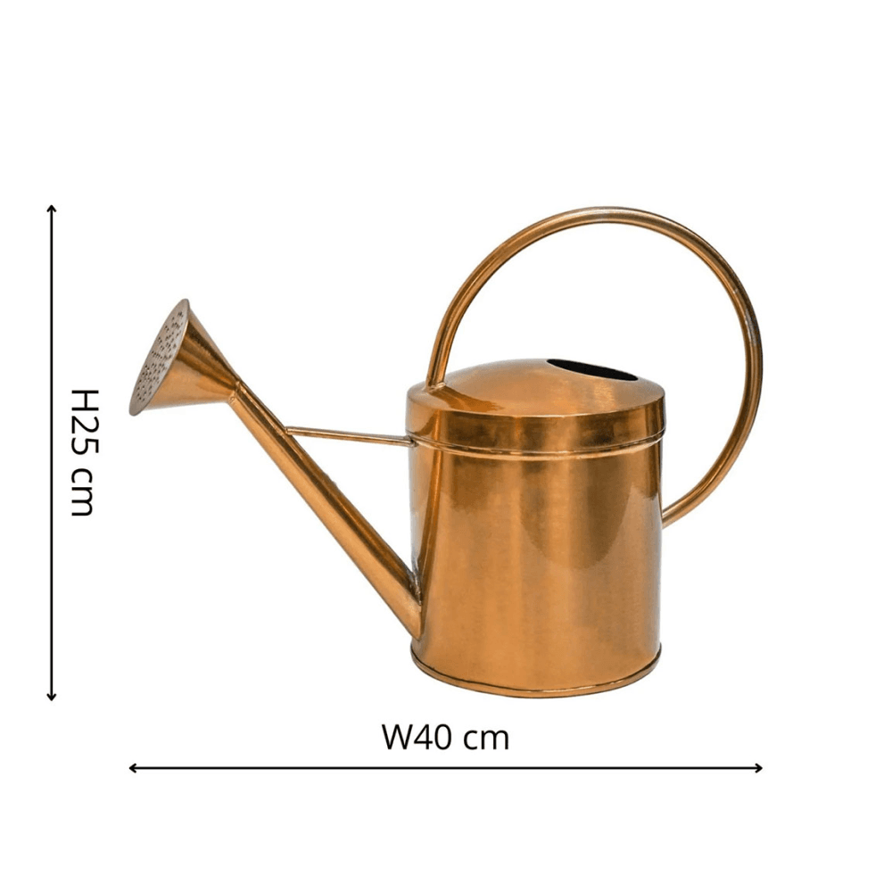 Kensington Indoor Traditional Watering Can, Copper