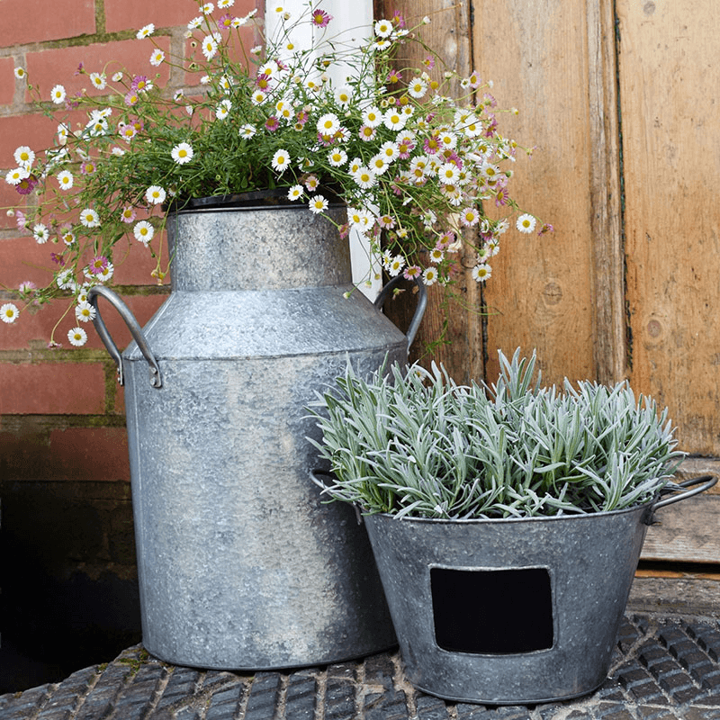 Galvanised Milk Churn, H43cm x D33cm, Silver