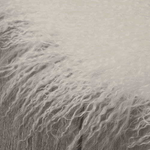 Image showing the Tibetan Sheepskin rug, Ivory product.