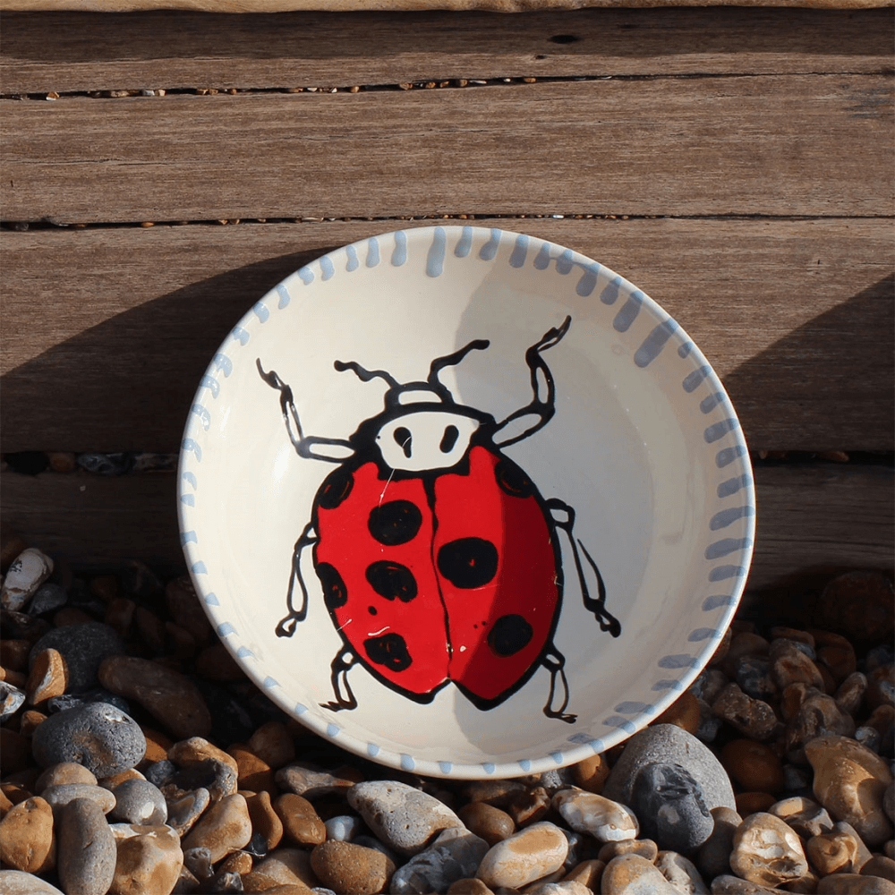 Ceramic Bowl, Ladybird