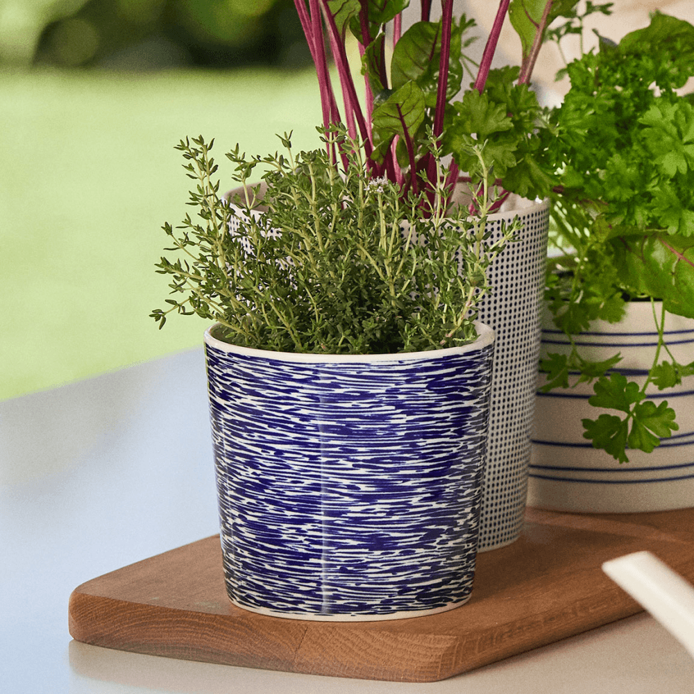 Pacific Planter