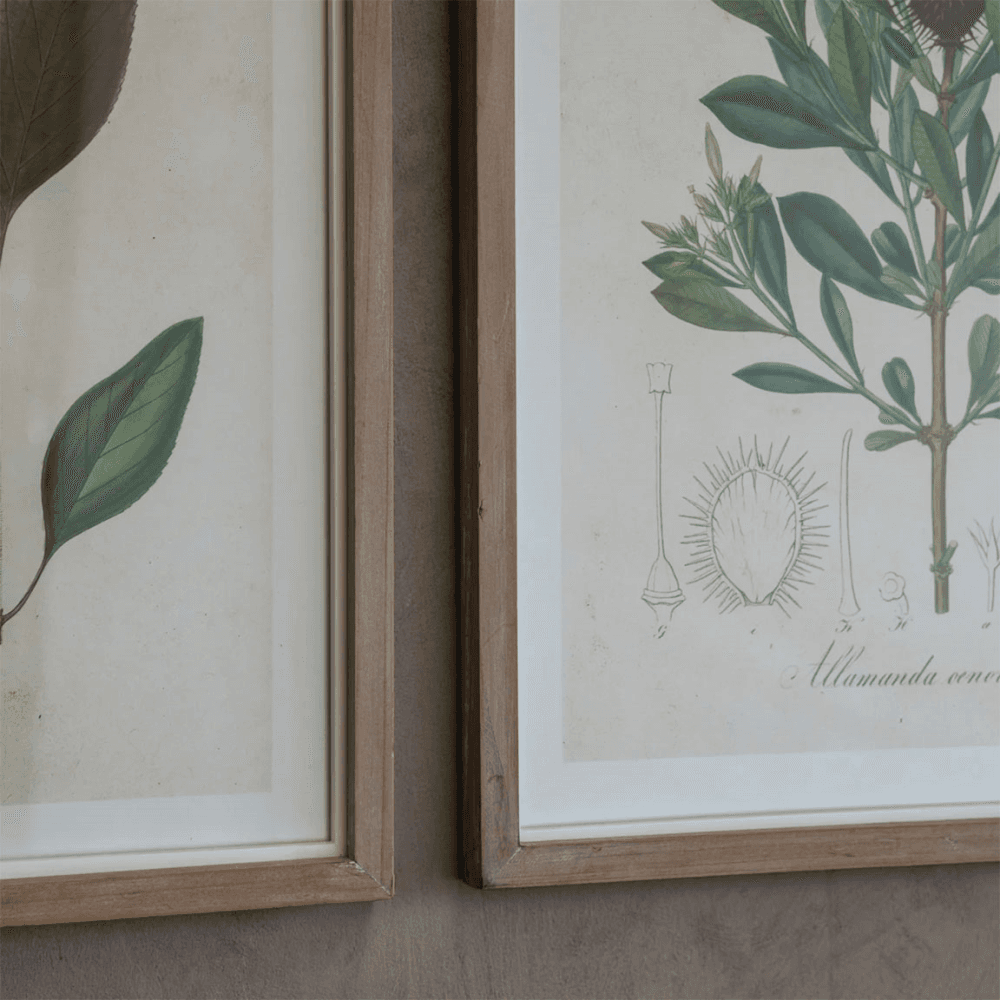 Ormington Set of 6 Wildflower Framed Prints, Natural