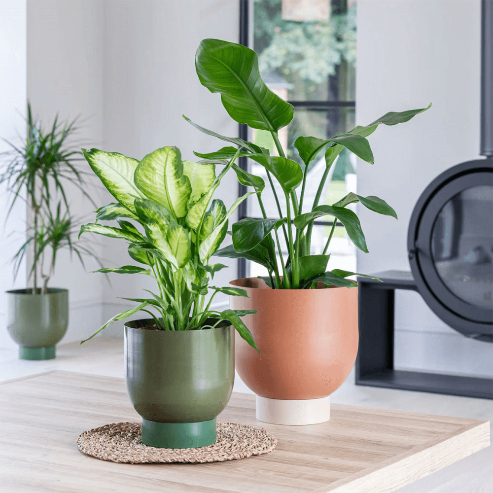 Austin Set of 2 Dual Metal Planters