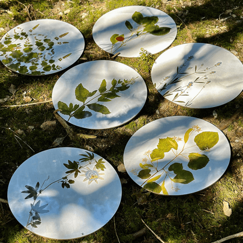Image showing the Herbarium Set of 6 Round Placemats, Green product.