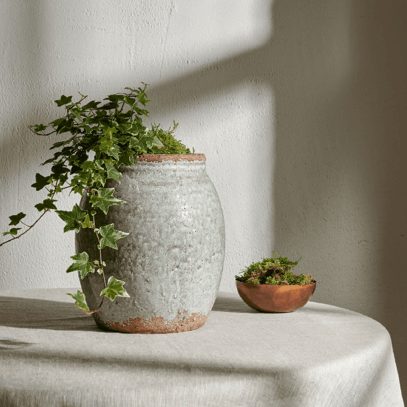 Broseley Large pot, Moss