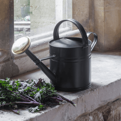 Image showing the Watering Can product.