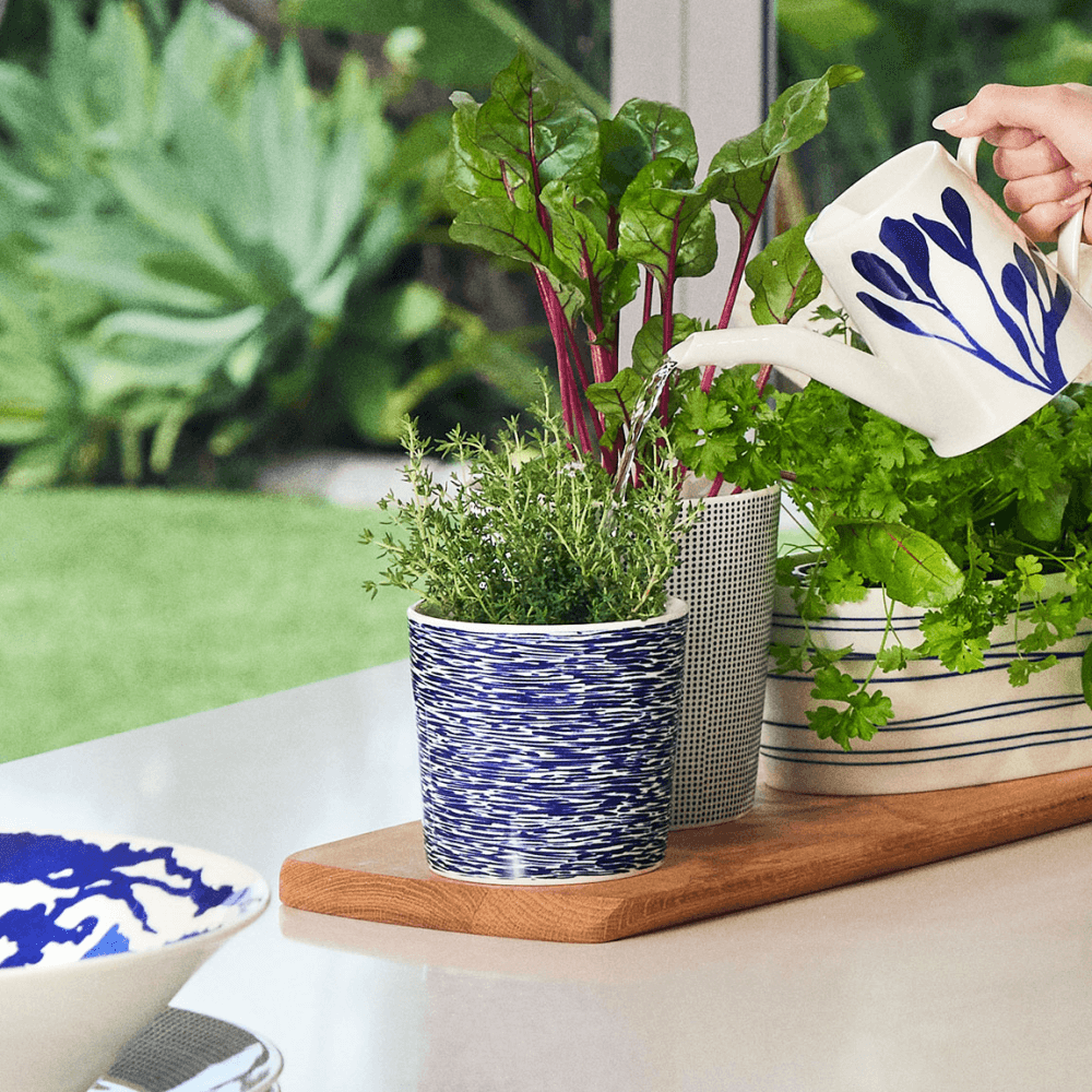 Pacific Planter