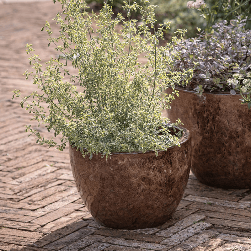 Dunai Planter