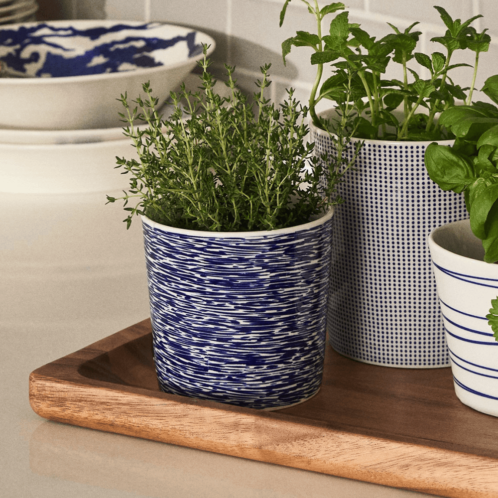 Pacific Planter