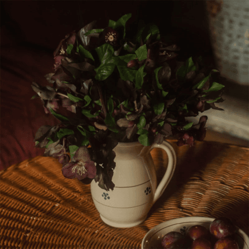 Image showing the Fiore Jug, Cream product.