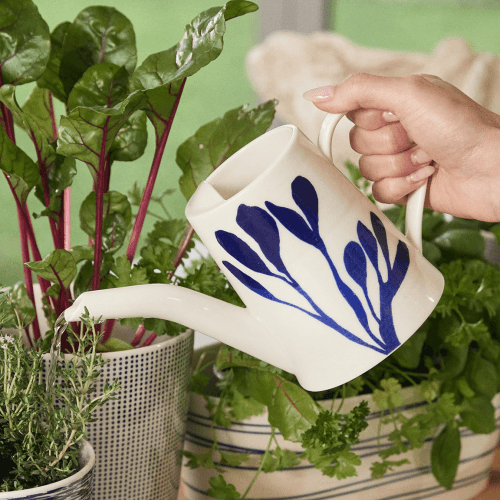 Image showing the Pacific Watering Can, Blue product.