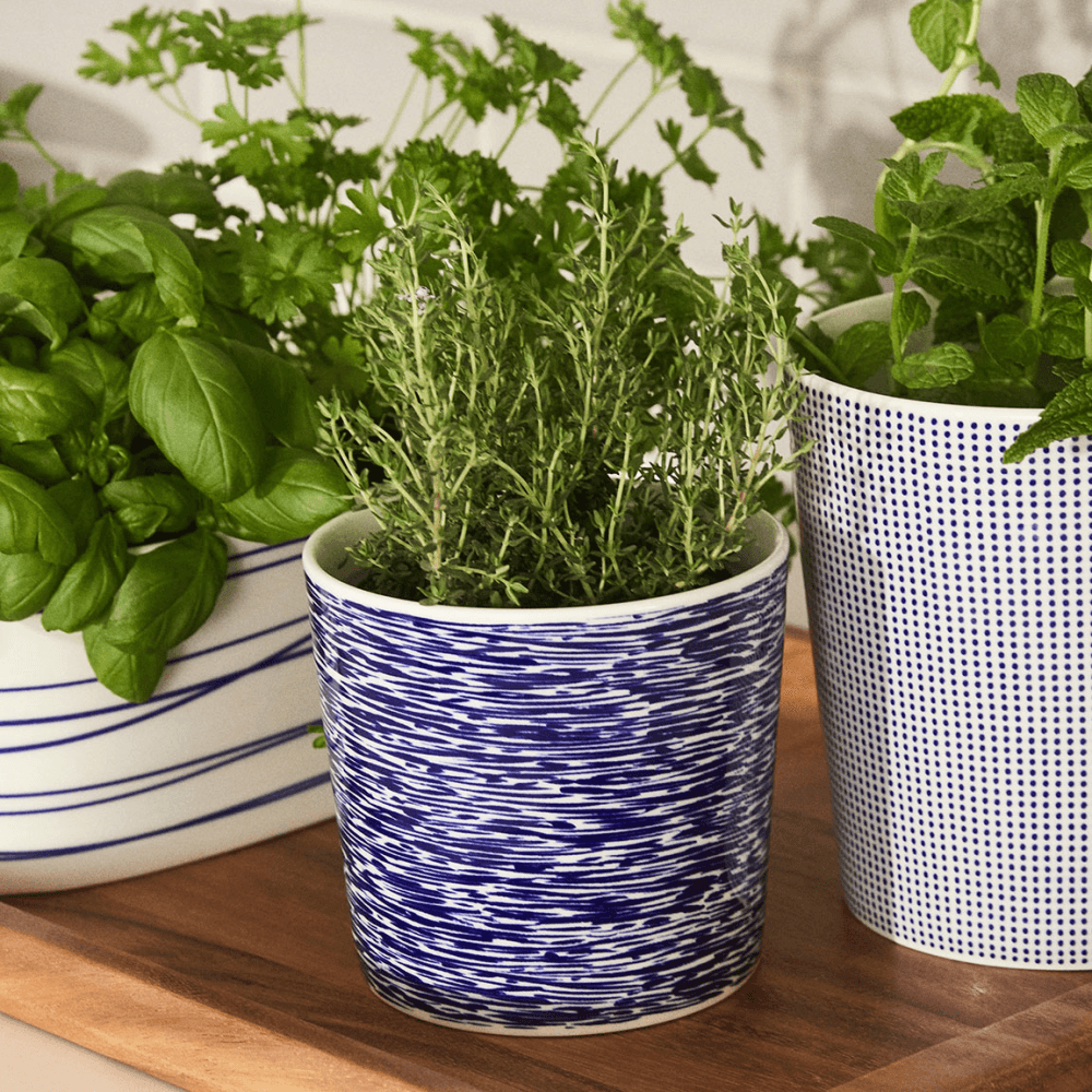 Pacific Planter