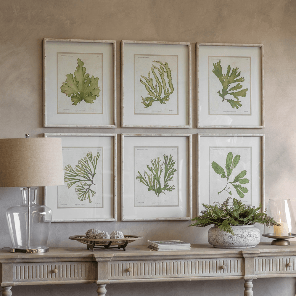 Ormington Set of 6 Aloe and Algae Framed Prints, Shades of Green