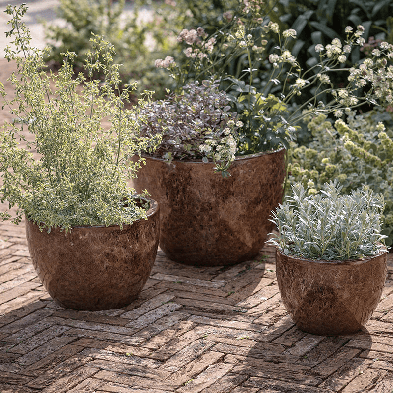 Dunai Planter
