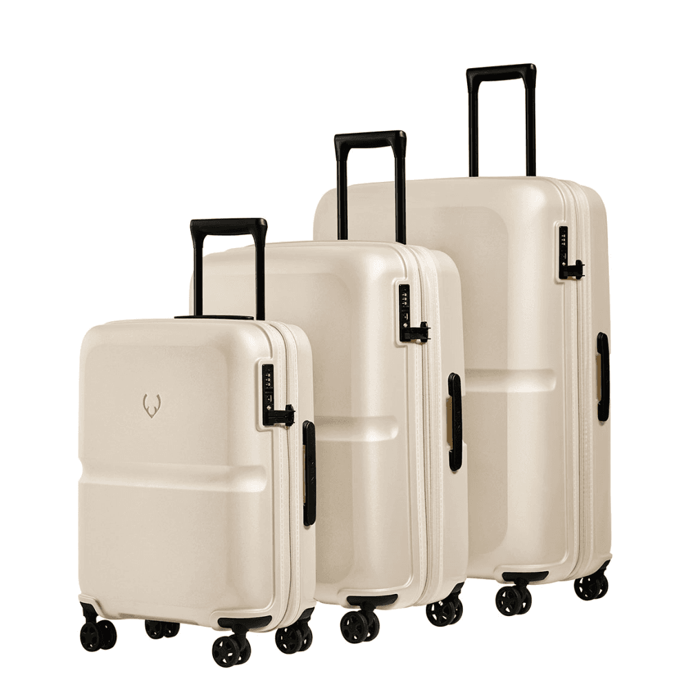 Single Stripe Cabin Suitcase