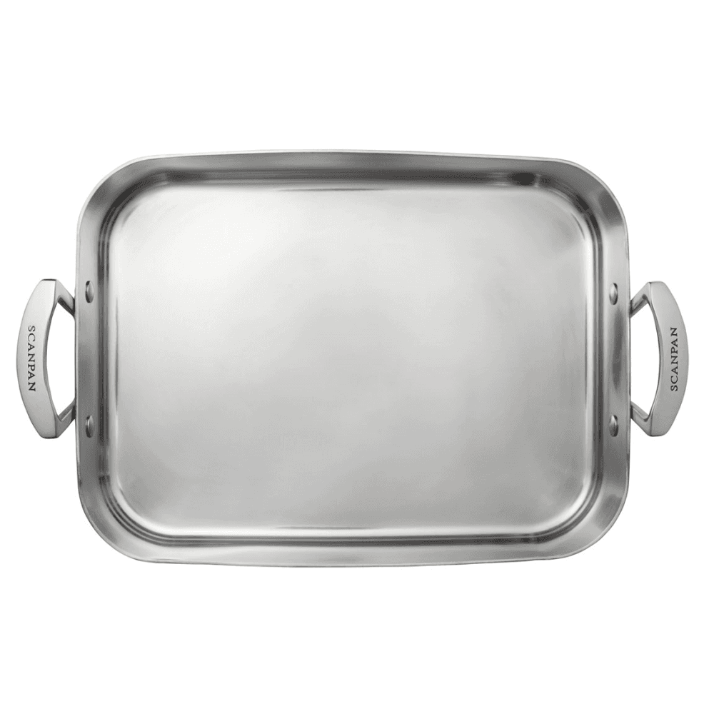 Fusion 5 Roaster, Stainless Steel