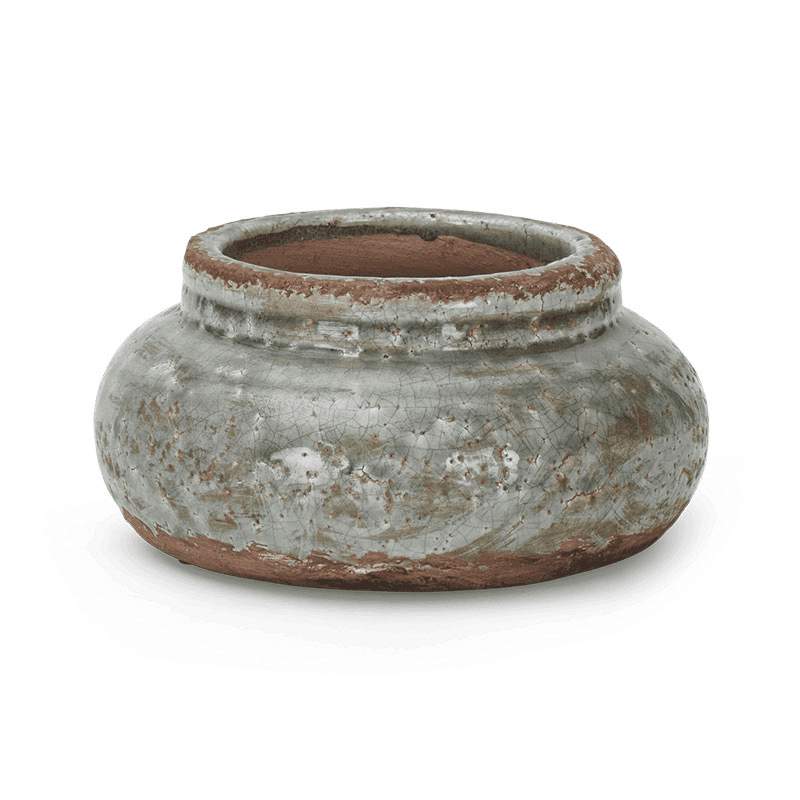 Broseley Pot, Moss